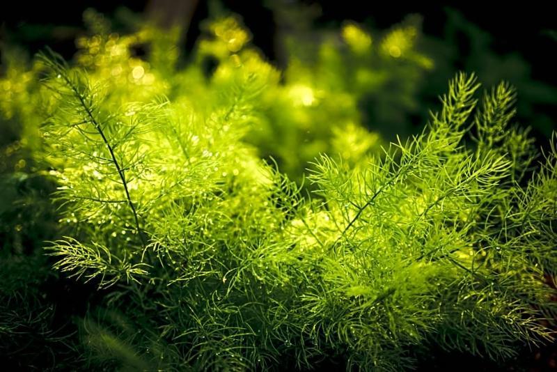 فندق نيست باي سا-نجوب بانكوك المظهر الخارجي الصورة